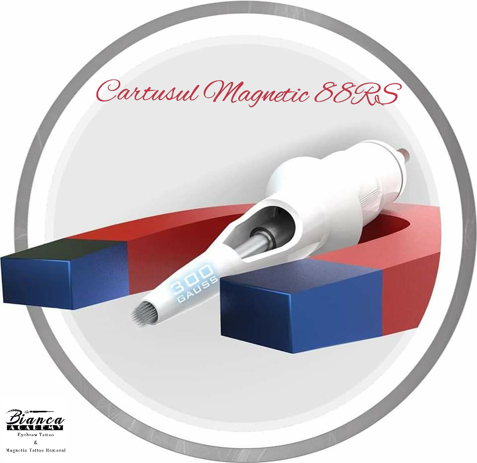 cartusul magnetic
